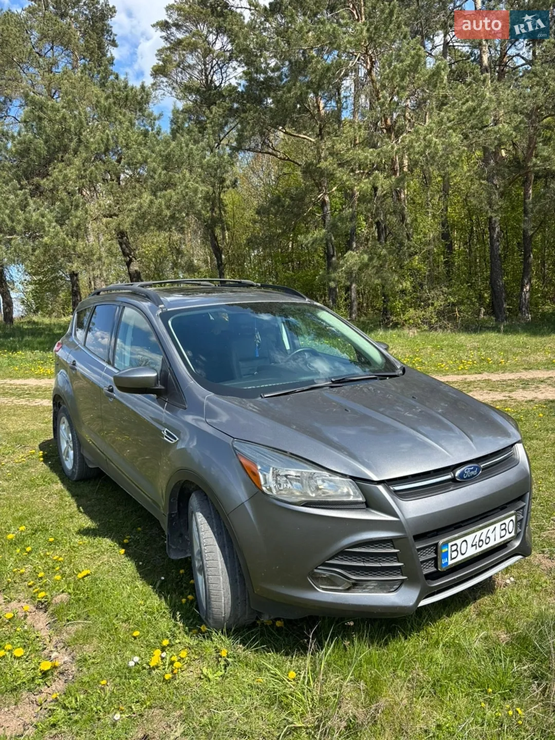 2014 Ford Escape - мініатюра 2