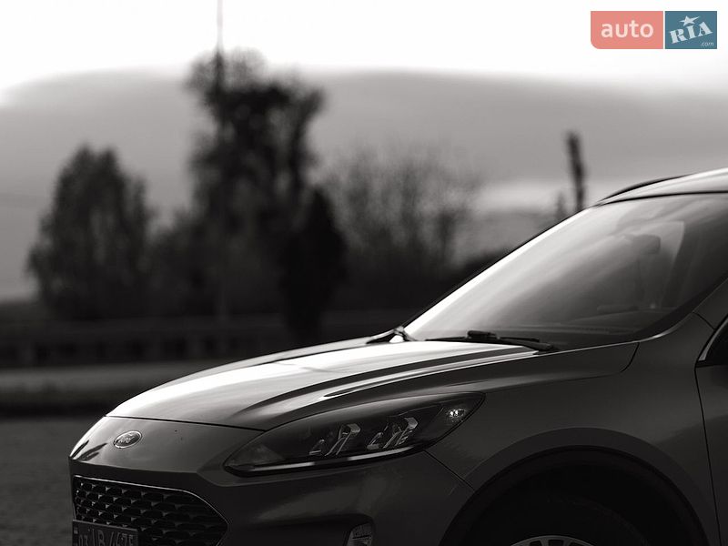 Внедорожник / Кроссовер Ford Escape 2021 в Дубно