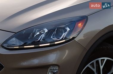 Внедорожник / Кроссовер Ford Escape 2021 в Дубно