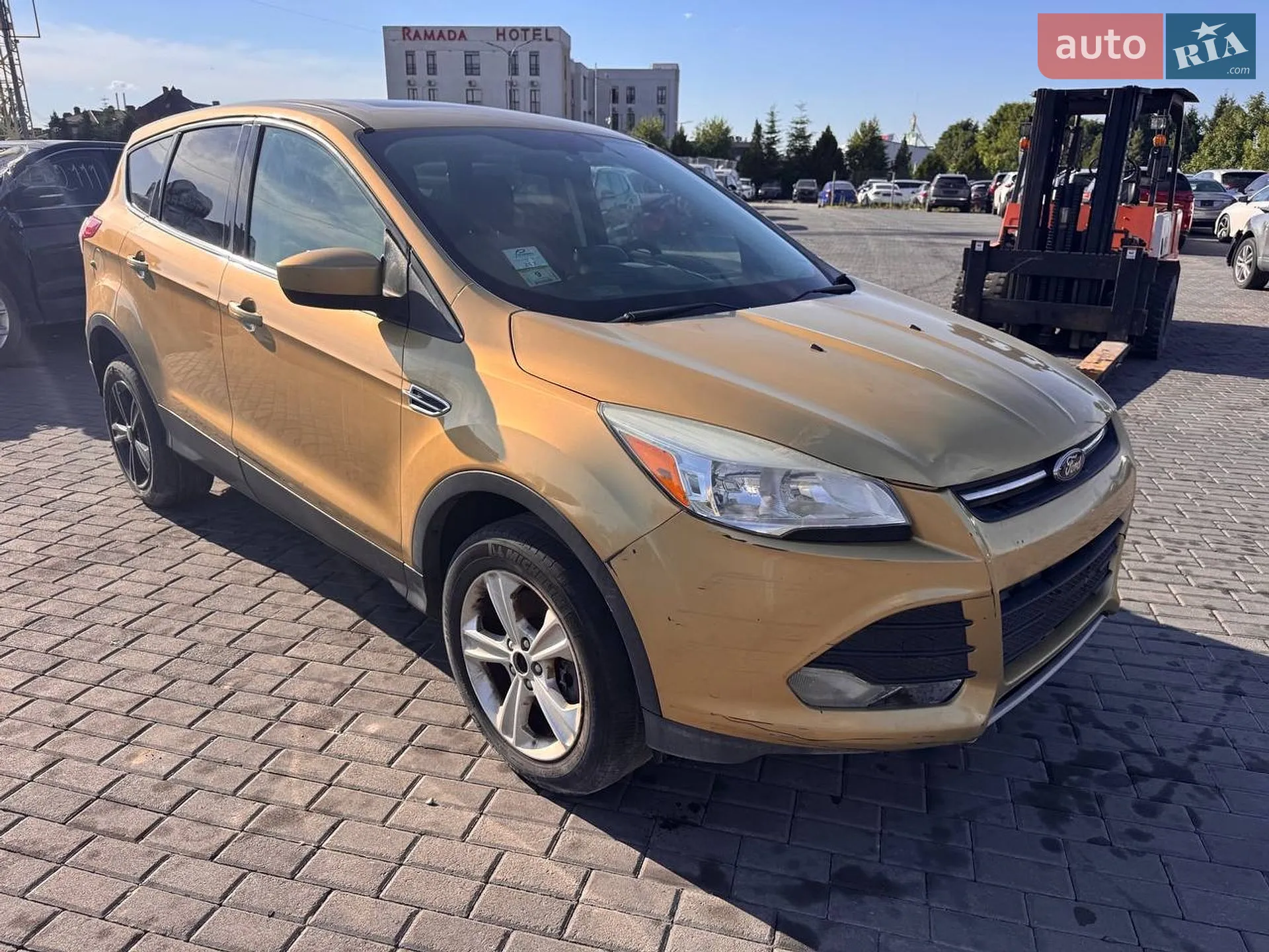 2014 Ford Escape - мініатюра 2