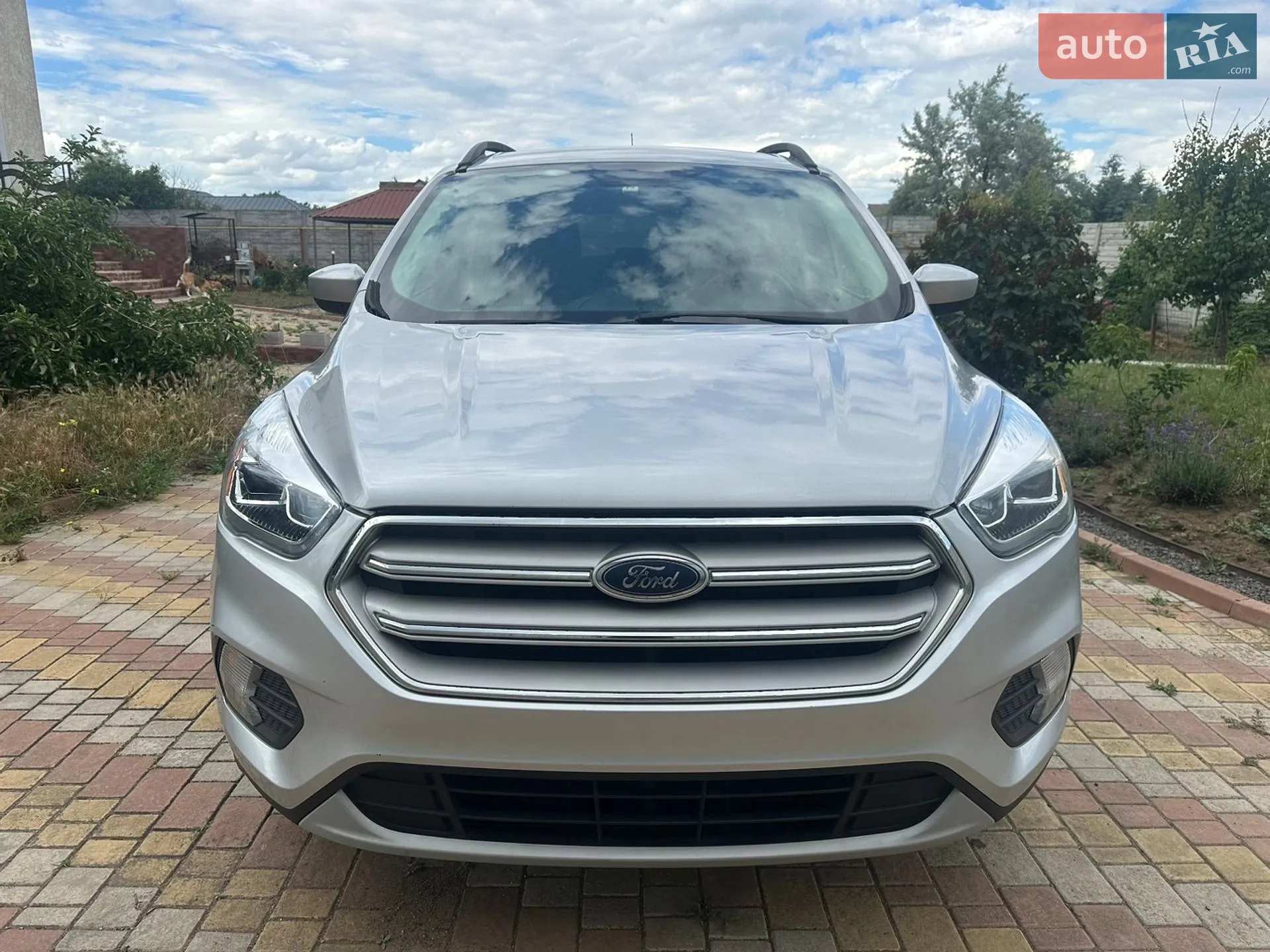 2019 Ford Escape - мініатюра 2