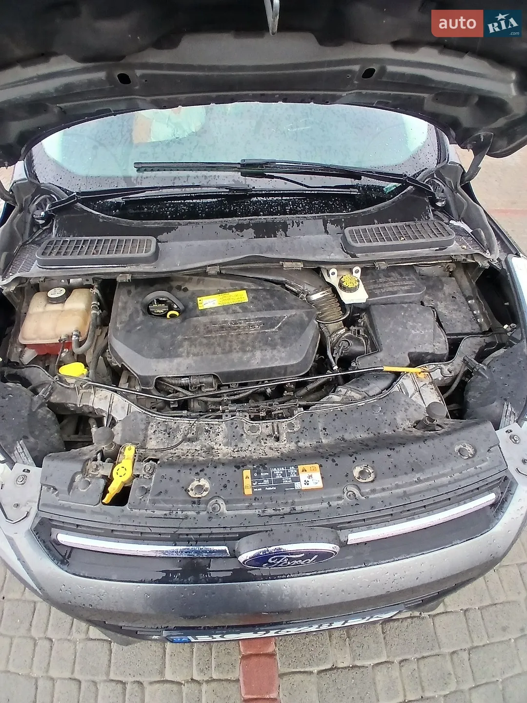 2013 Ford Escape - мініатюра 11
