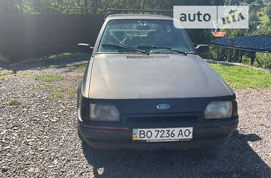 Хетчбек Ford Escort 1987 в Кременці