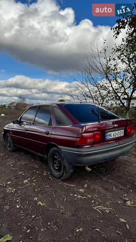 Хетчбек Ford Escort 1995 в Рівному