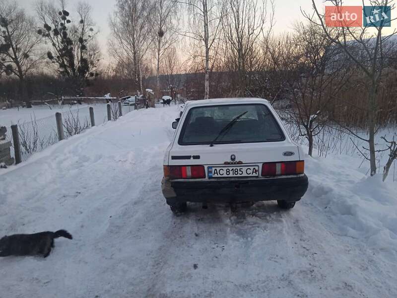 Хетчбек Ford Escort 1987 в Острозі