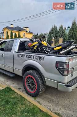Пикап Ford F-150 2014 в 
