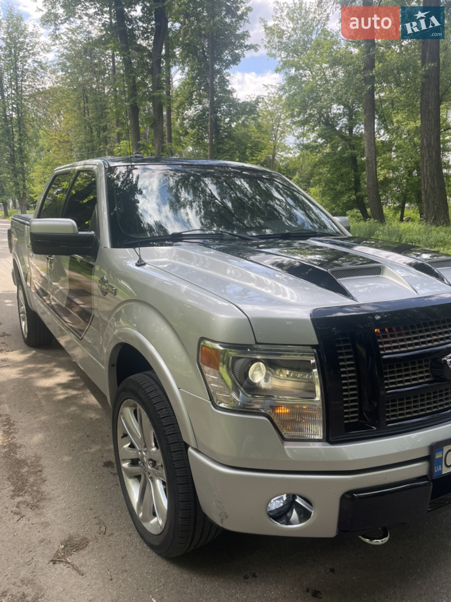 2014 Ford F-150 - мініатюра 19