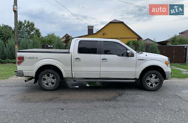 Пикап Ford F-150 2009 в 