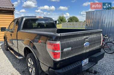 Пикап Ford F-150 2010 в 