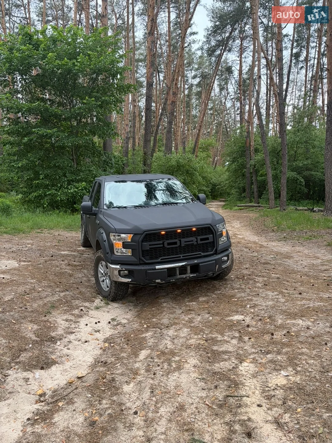 2015 Ford F-150 - мініатюра 3
