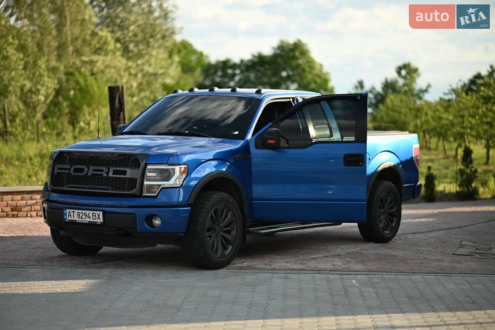 2011 Ford F-150 - мініатюра 8
