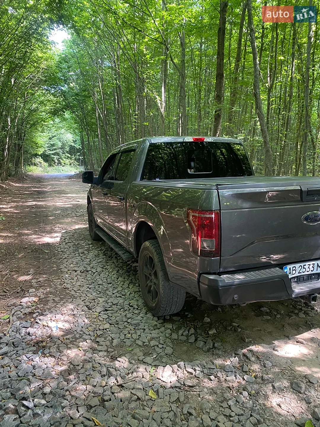 2016 Ford F-150 - мініатюра 9