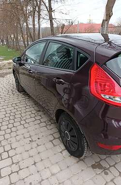 Хэтчбек Ford Fiesta 2010 в 