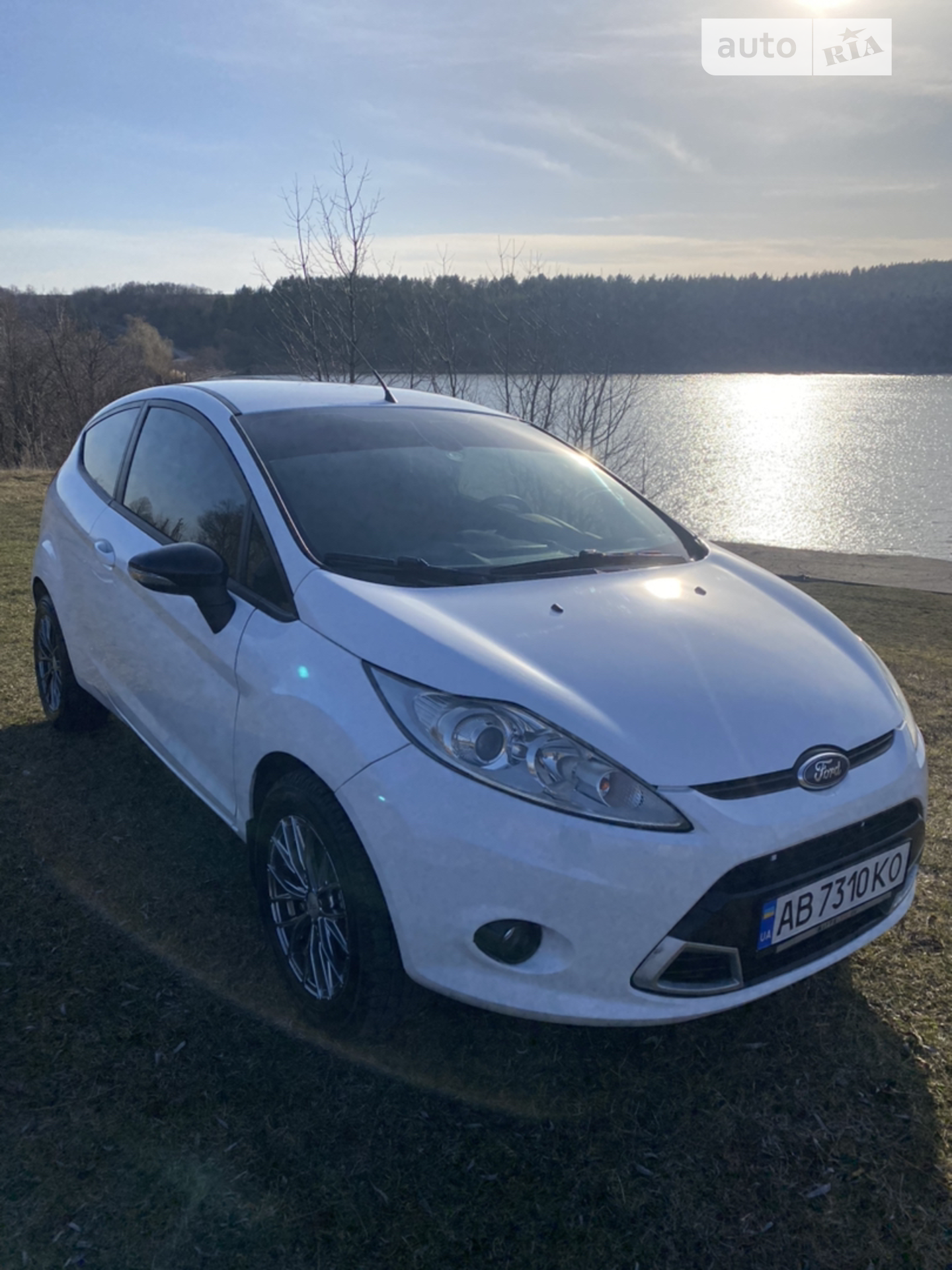 2010 Ford Fiesta - мініатюра 2