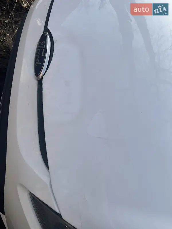 Хэтчбек Ford Fiesta 2010 в 