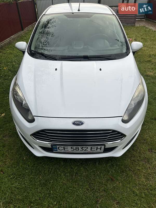 Хэтчбек Ford Fiesta 2014 в Берегомете
