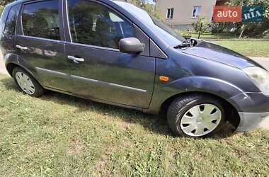 Хэтчбек Ford Fiesta 2007 в 
