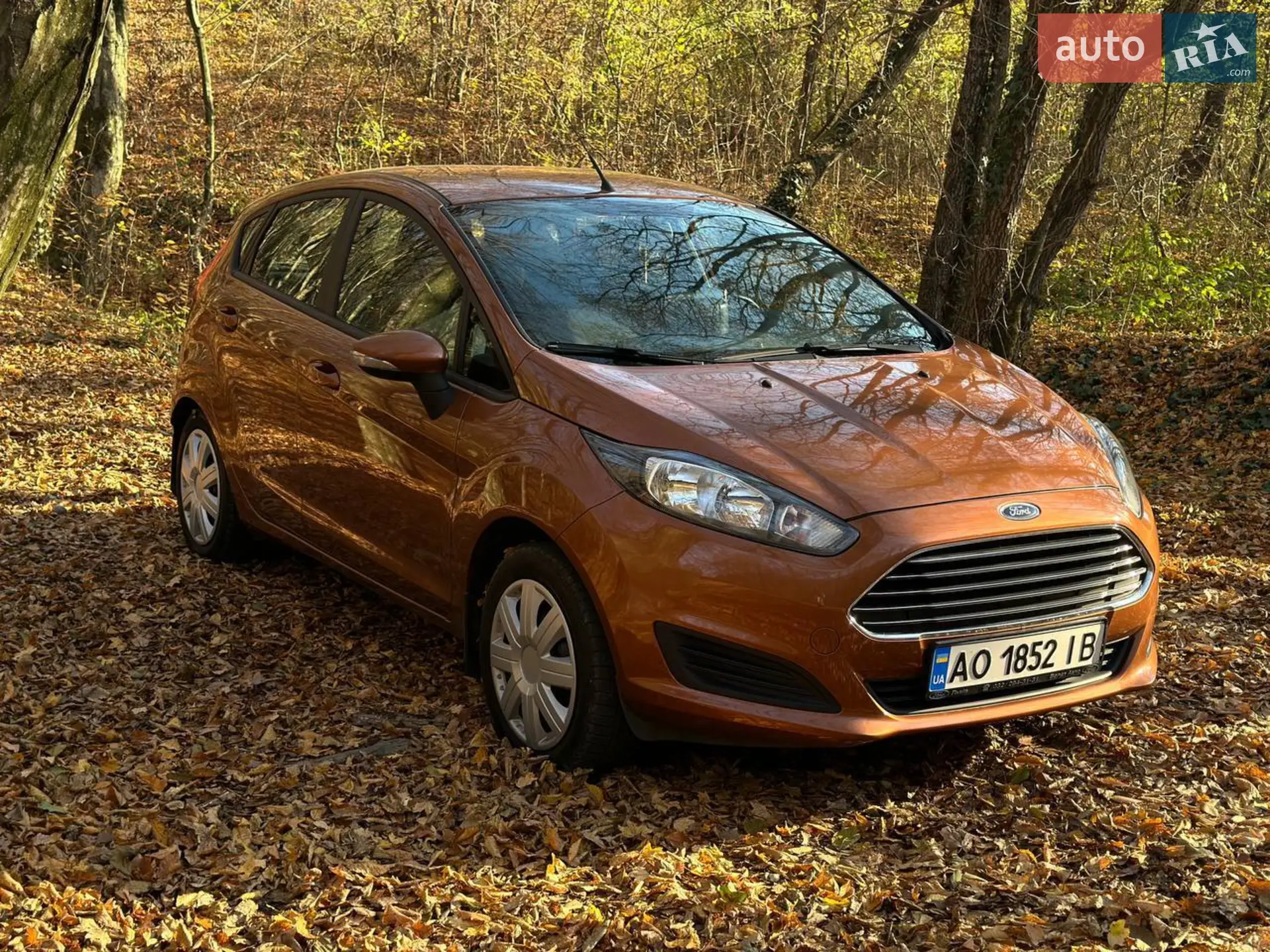 2015 Ford Fiesta - мініатюра 30