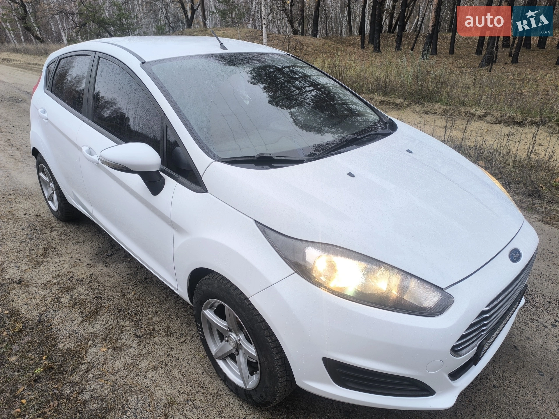 2013 Ford Fiesta - мініатюра 28