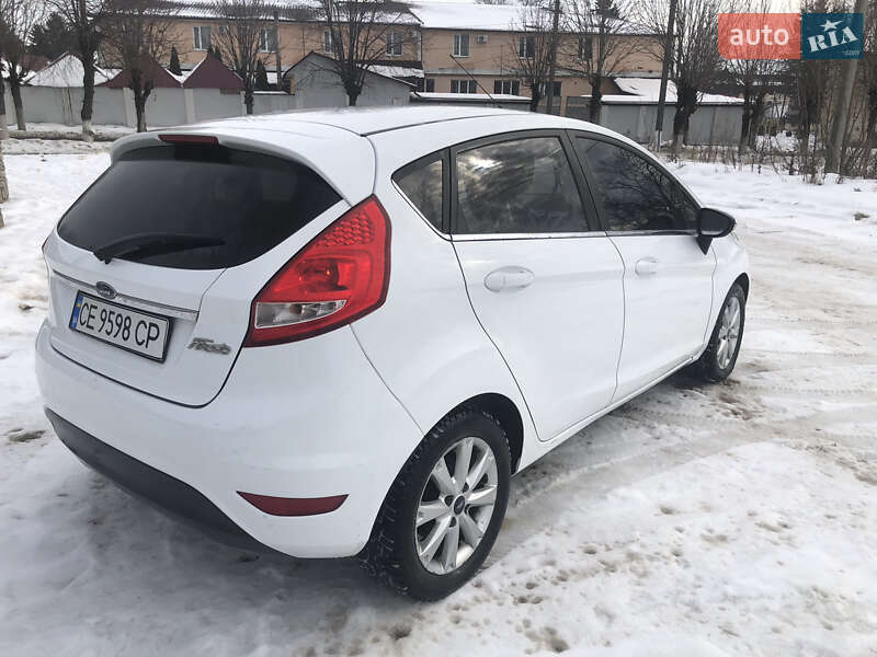 Хэтчбек Ford Fiesta 2009 в Новоднестровске