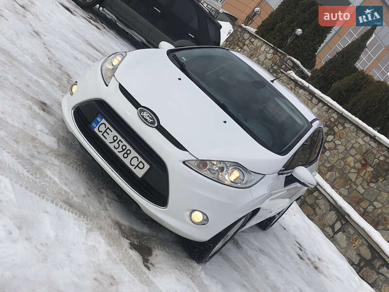 Хэтчбек Ford Fiesta 2009 в Новоднестровске