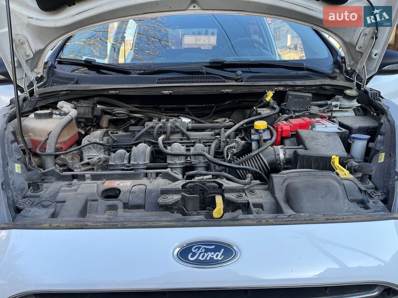 Хетчбек Ford Fiesta 2013 в Чинадієвому