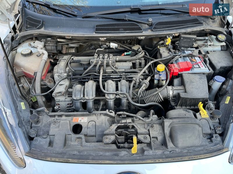 Хетчбек Ford Fiesta 2013 в Чинадієвому