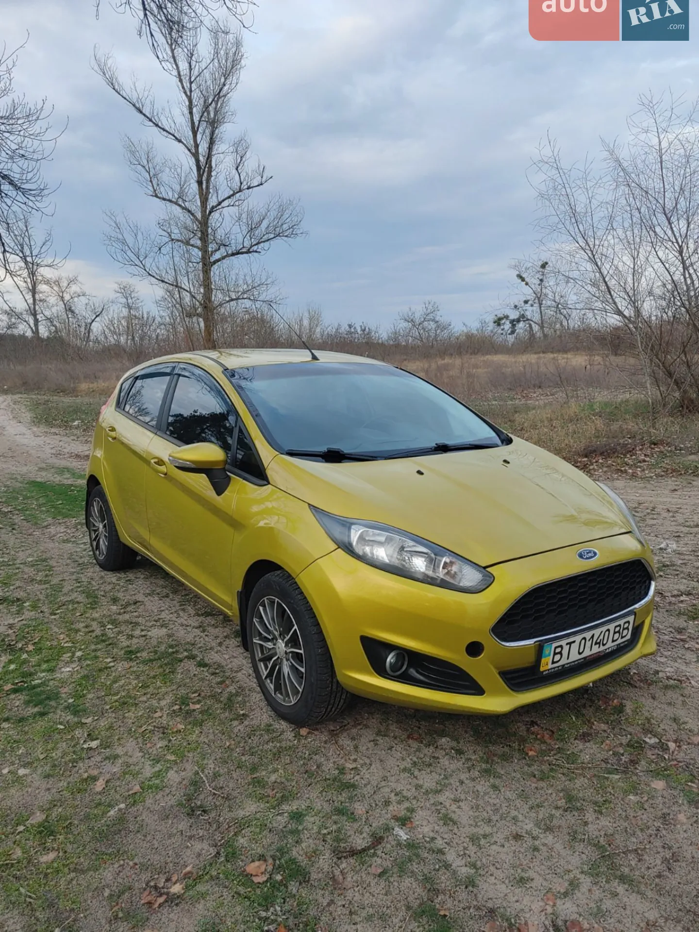 2013 Ford Fiesta - мініатюра 9