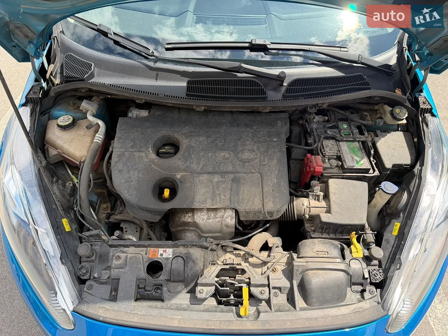 2013 Ford Fiesta - мініатюра 28