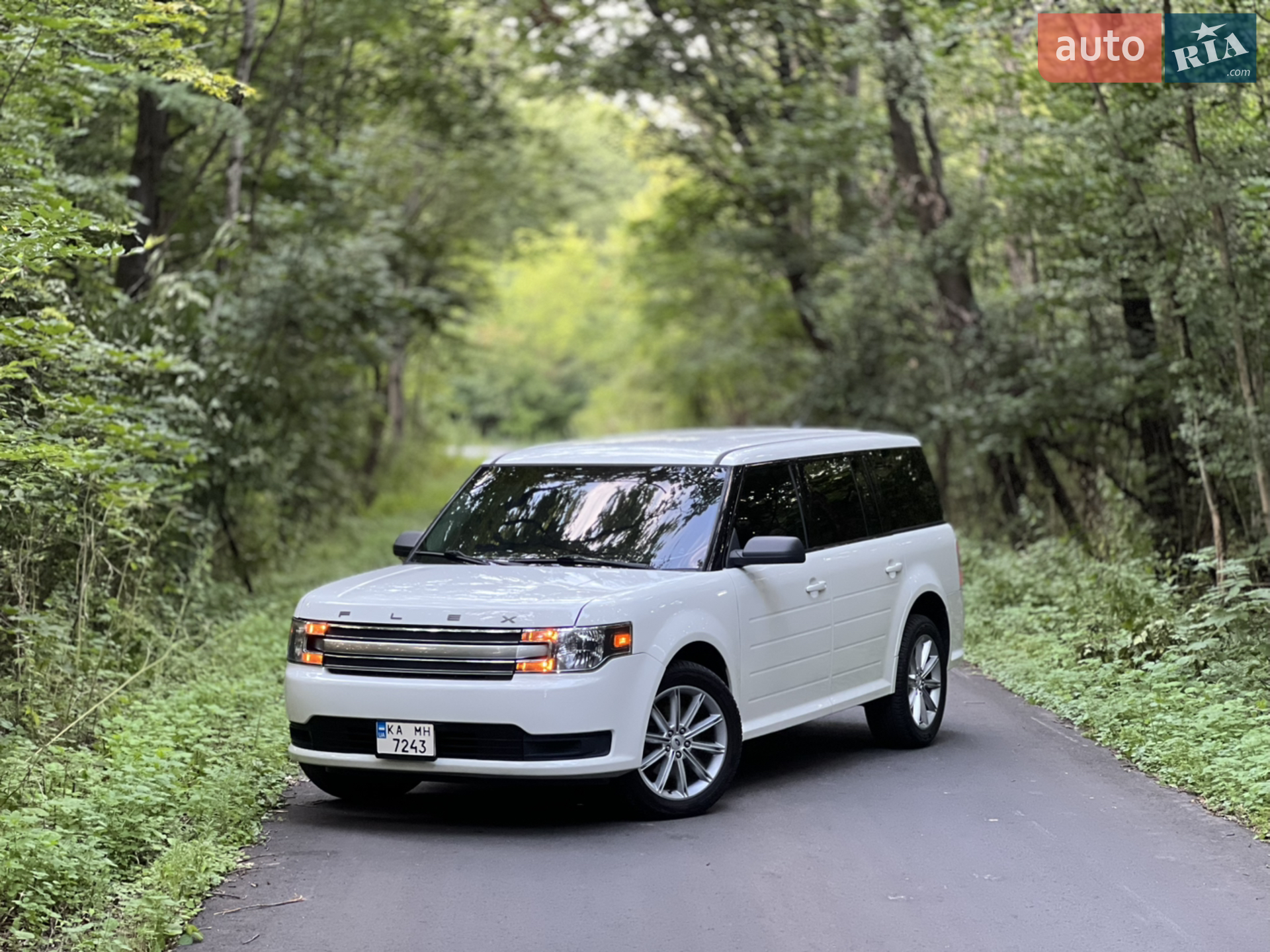 2013 Ford Flex - мініатюра 2