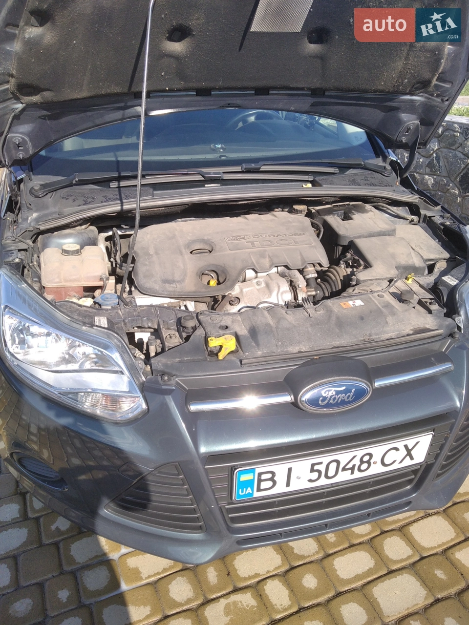 2013 Ford Focus - мініатюра 3