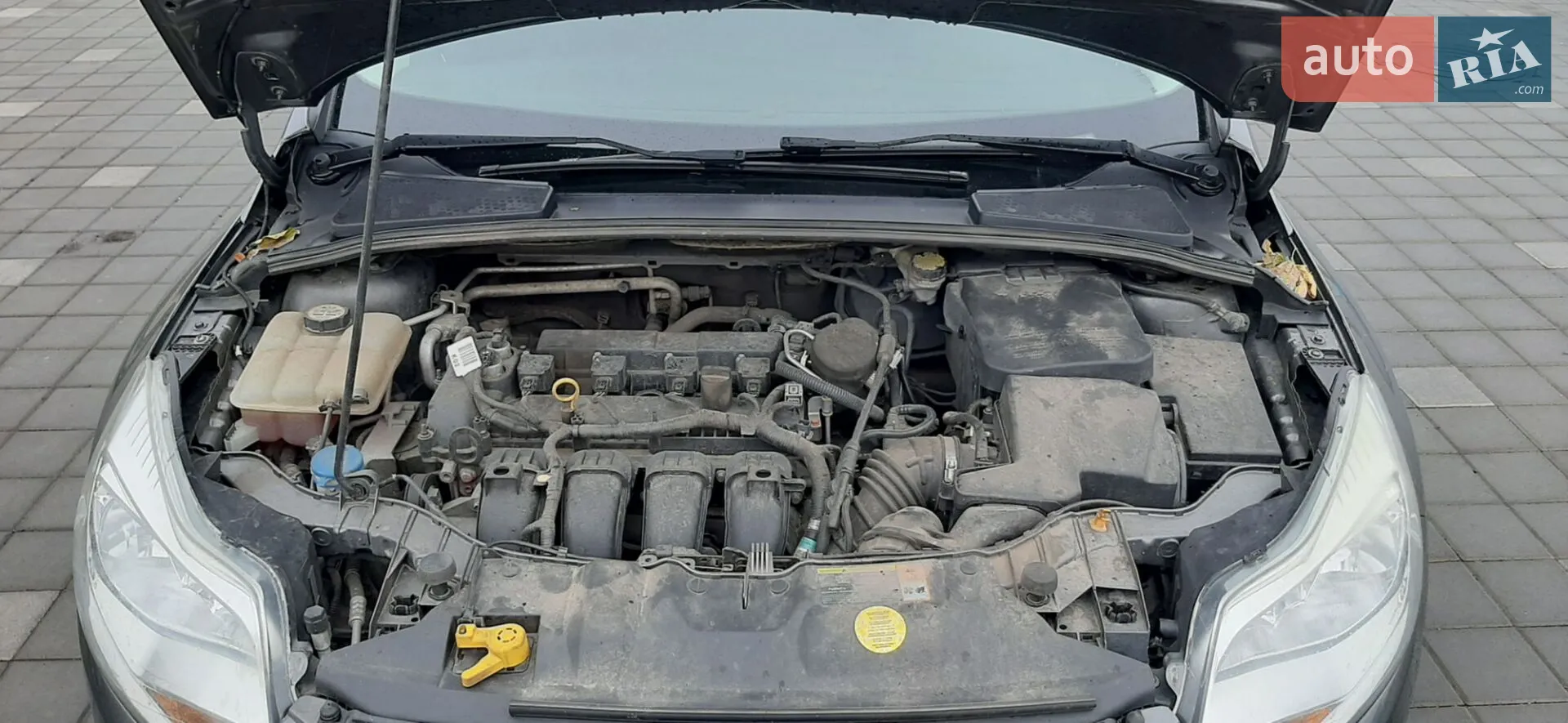 2012 Ford Focus - мініатюра 19