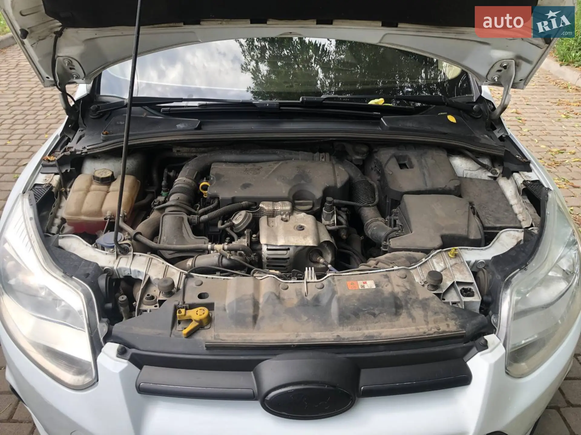 2013 Ford Focus - мініатюра 6