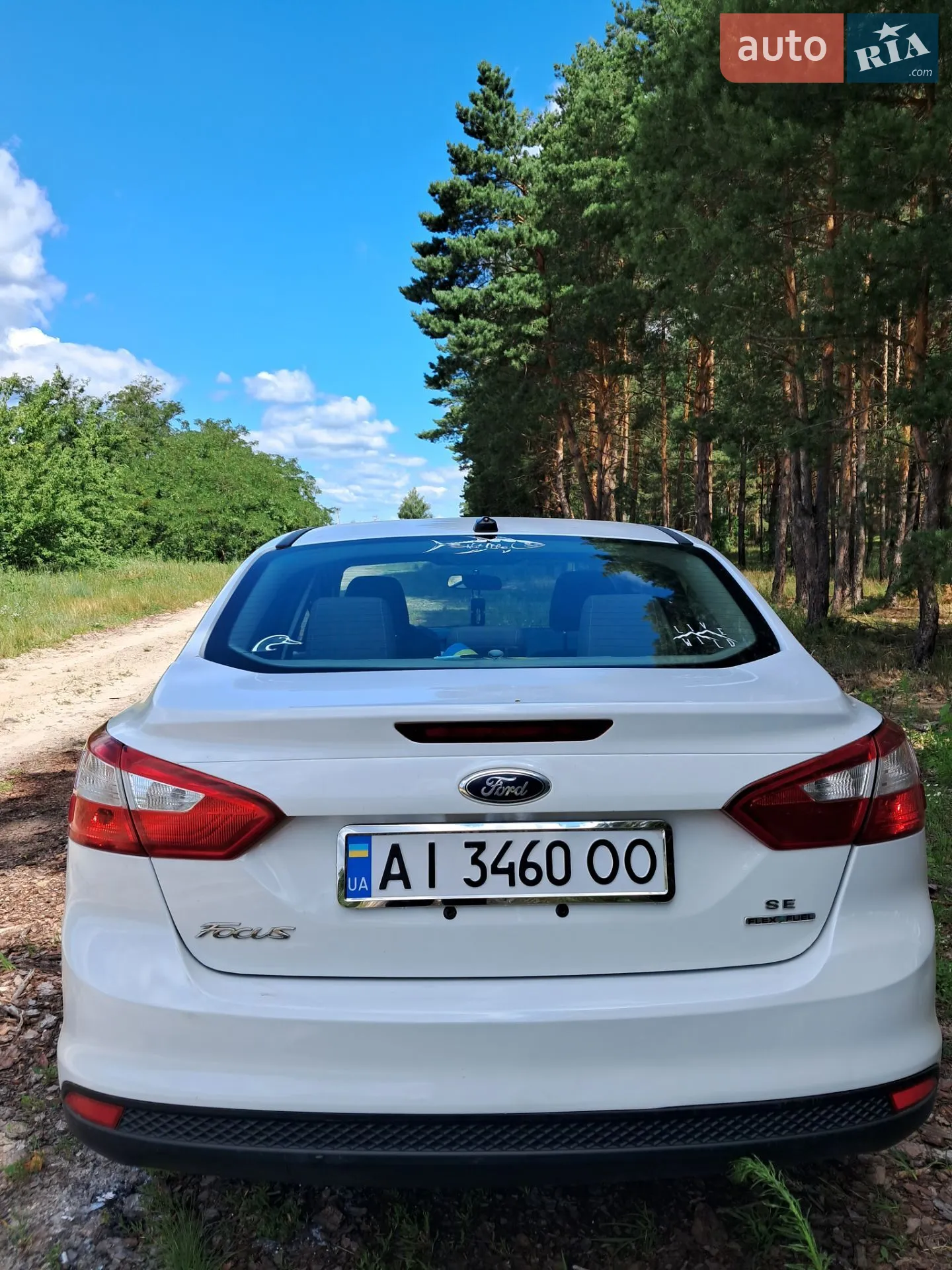 2014 Ford Focus - мініатюра 5