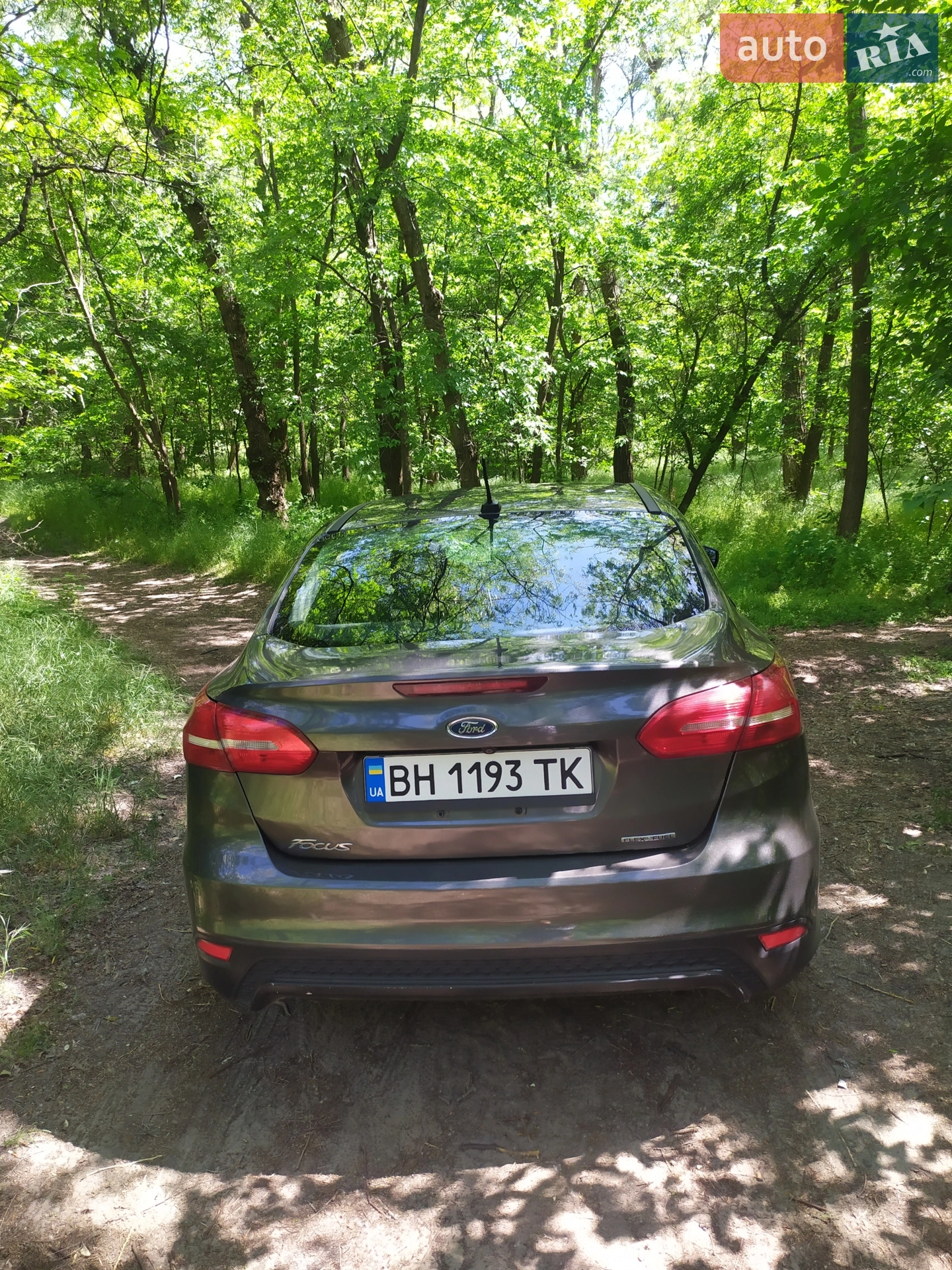 2015 Ford Focus - мініатюра 10