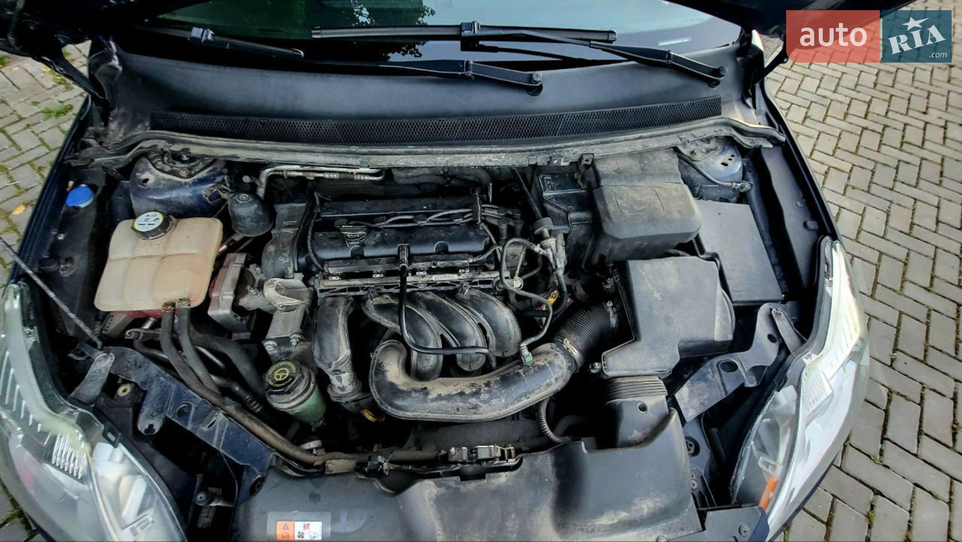 2011 Ford Focus - мініатюра 8