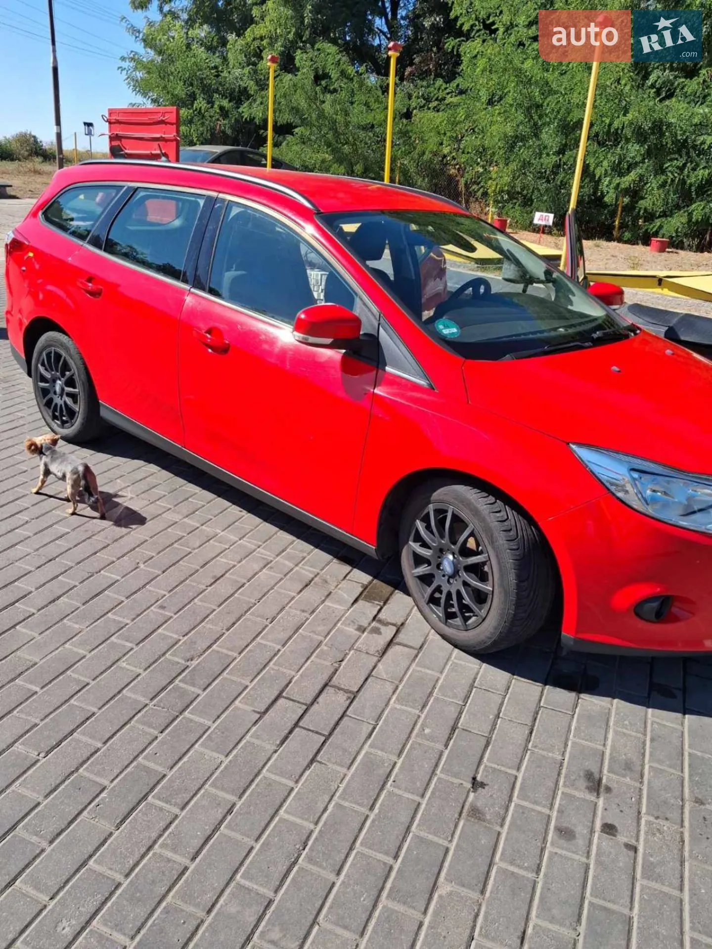 2013 Ford Focus - мініатюра 4