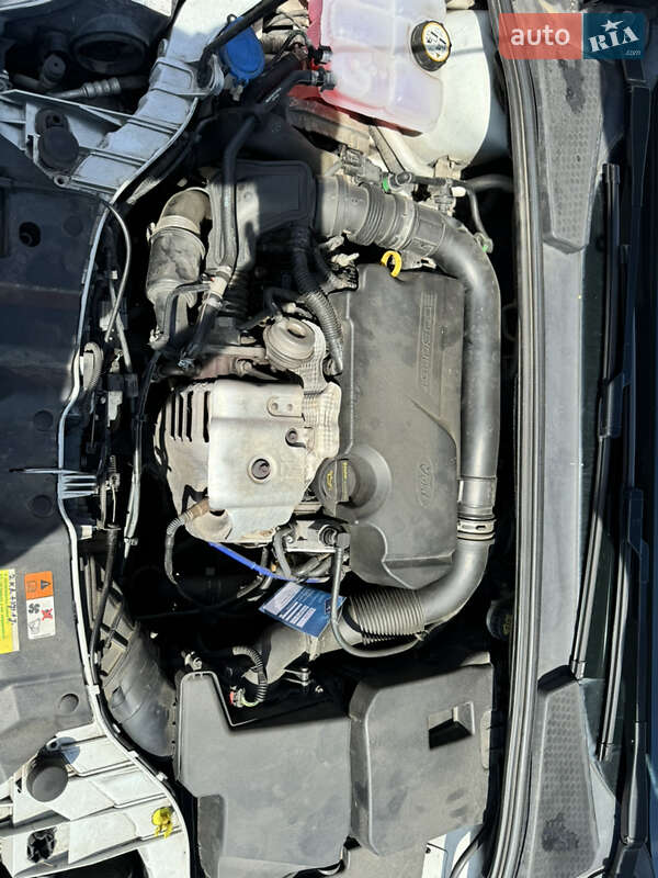 Хэтчбек Ford Focus 2013 в Затоке