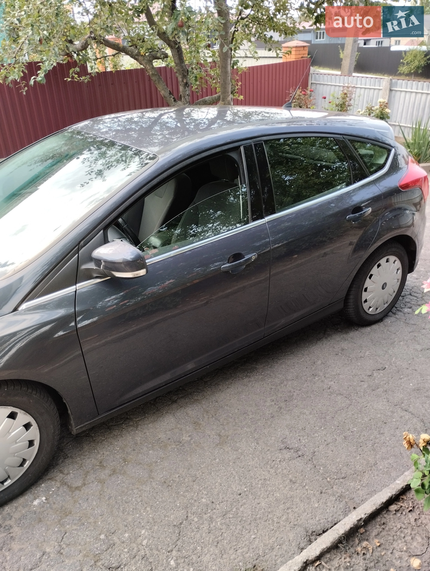 2012 Ford Focus - мініатюра 2
