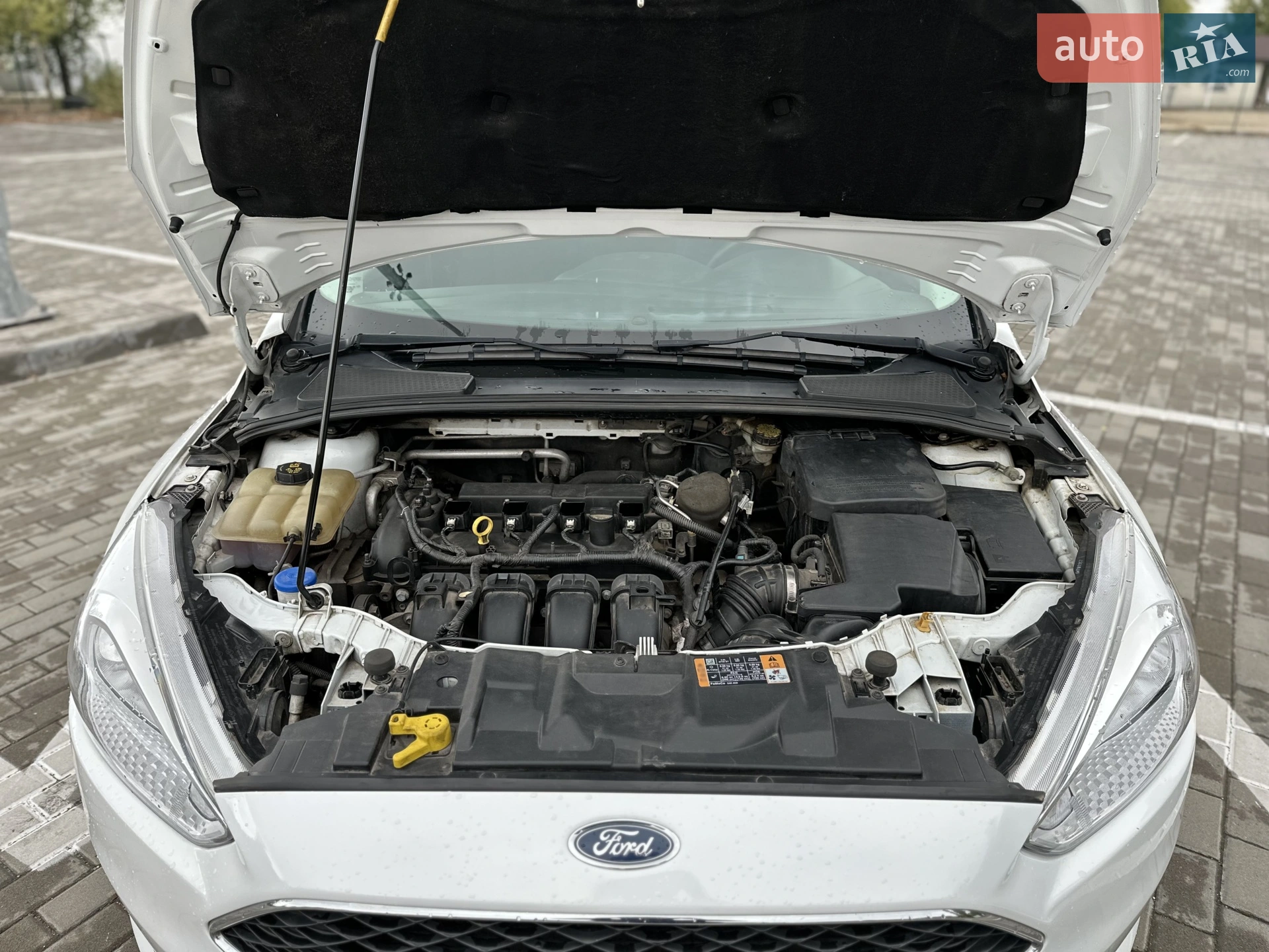 2015 Ford Focus - мініатюра 17