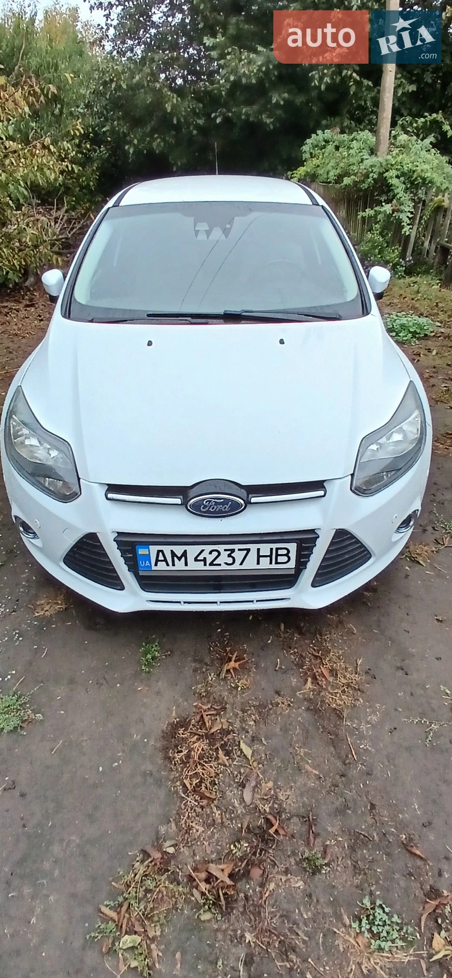 2011 Ford Focus - фото 1