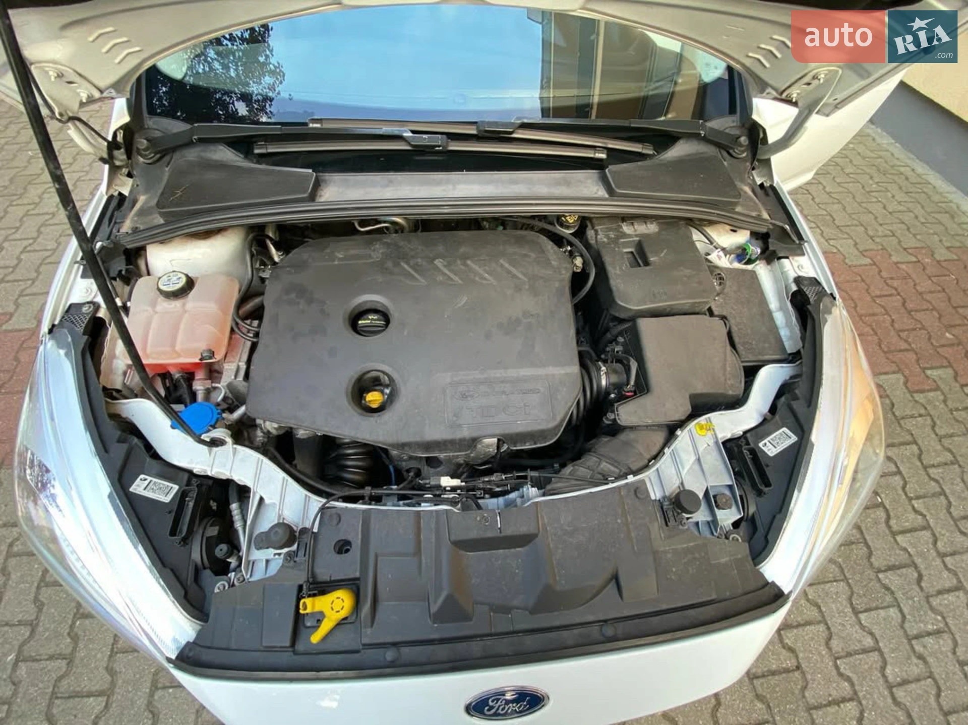 2015 Ford Focus - мініатюра 8