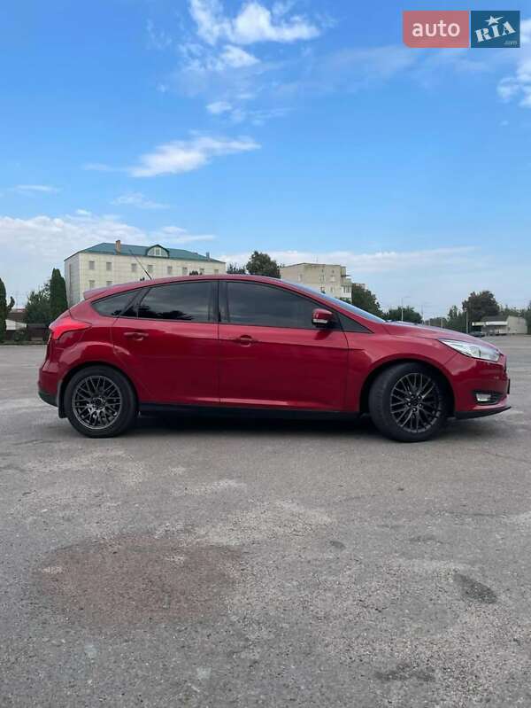 Хэтчбек Ford Focus 2015 в Андрушевке фото 3 Хэтчбек Ford Focus 2015 в Андрушевке