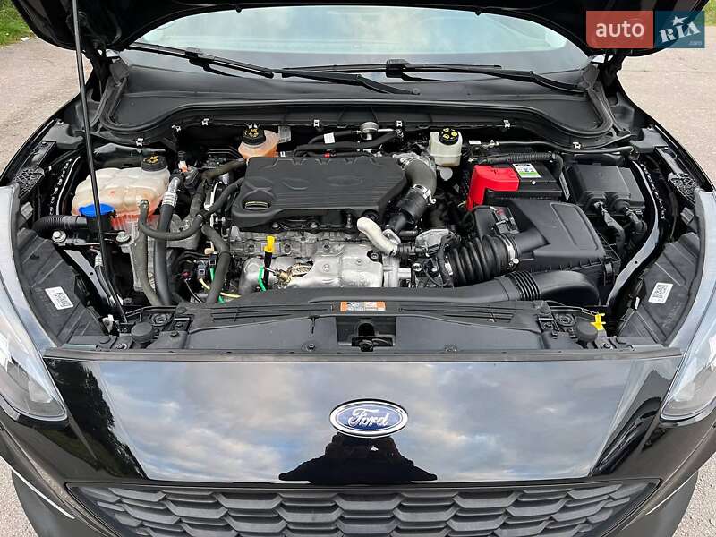 Универсал Ford Focus 2020 в Житомире