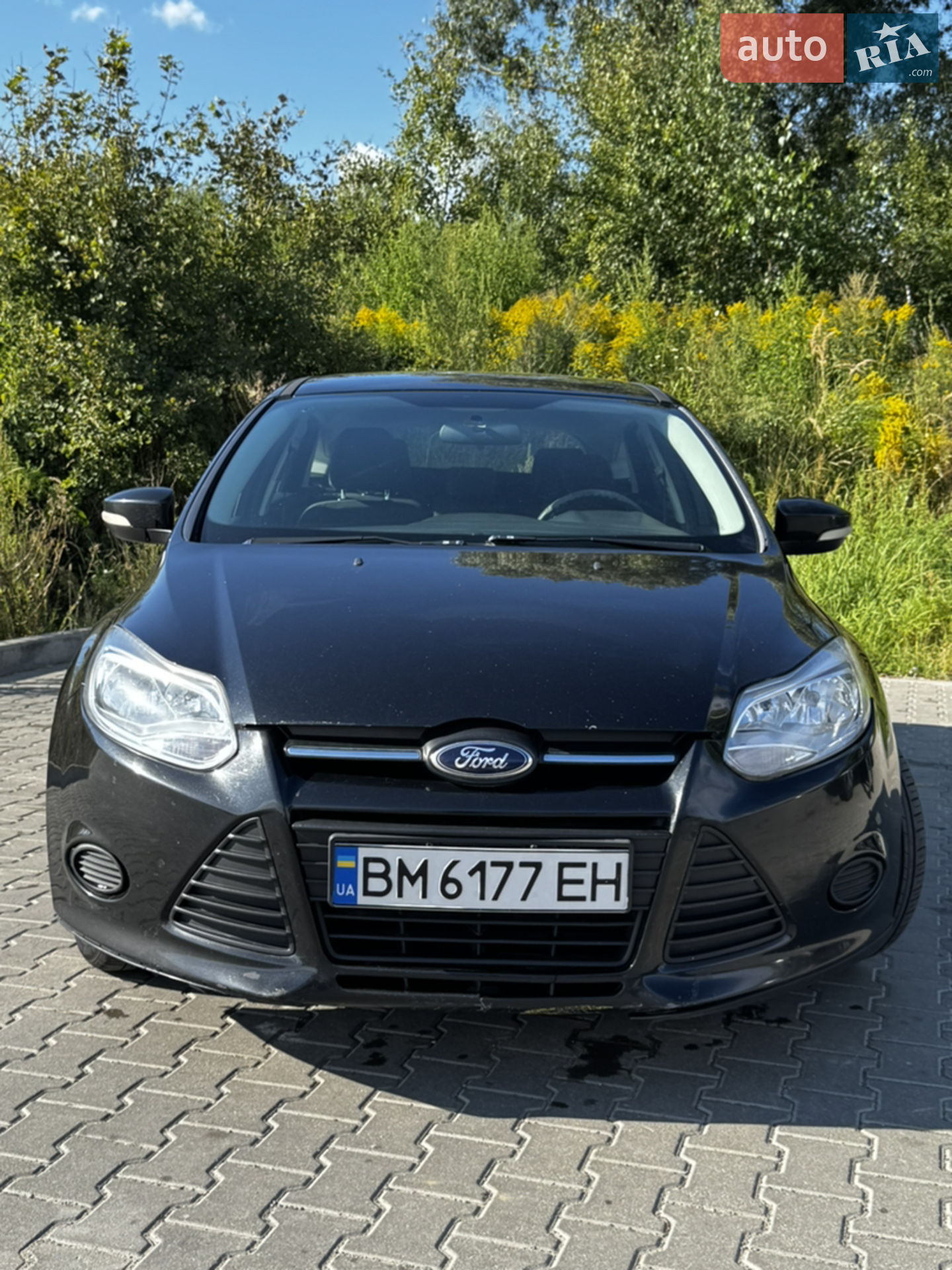 2014 Ford Focus - мініатюра 7