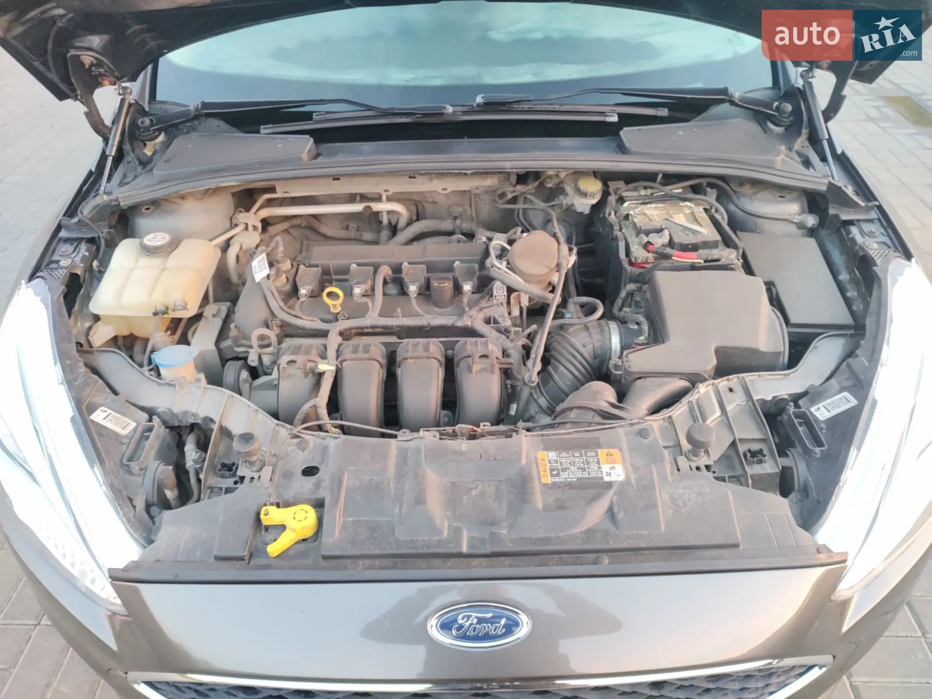 2016 Ford Focus - мініатюра 15