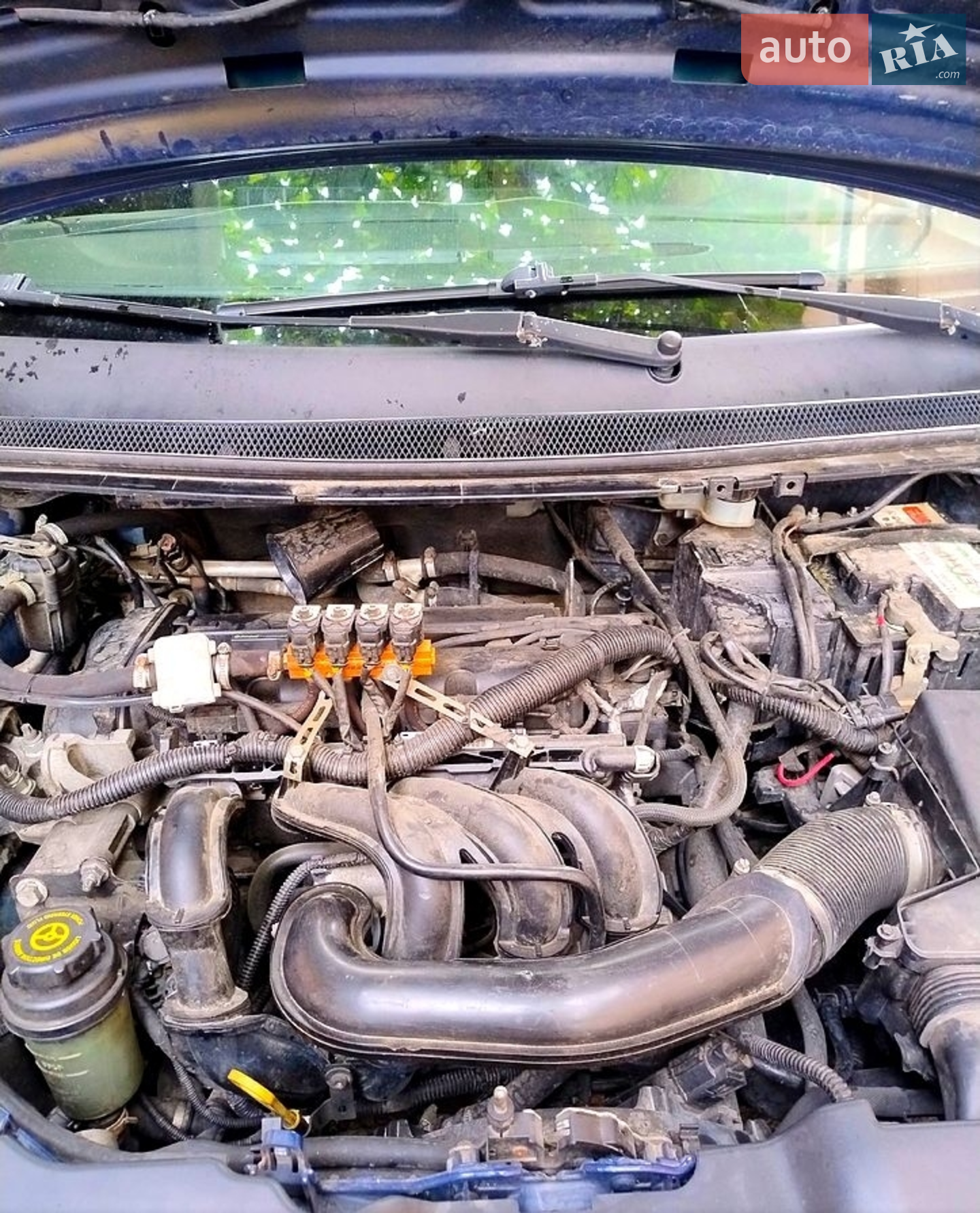 2010 Ford Focus - мініатюра 17