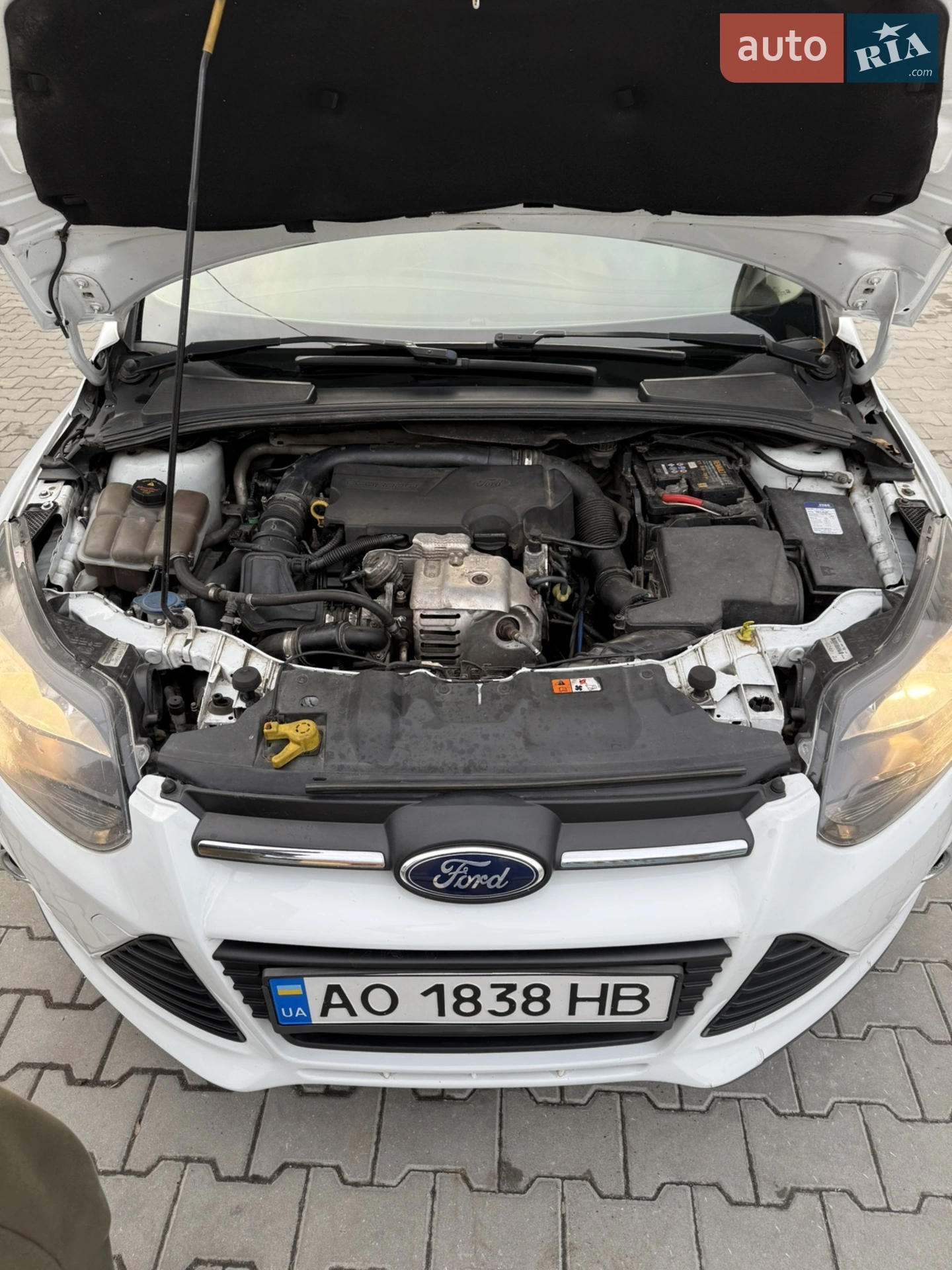 2014 Ford Focus - мініатюра 15
