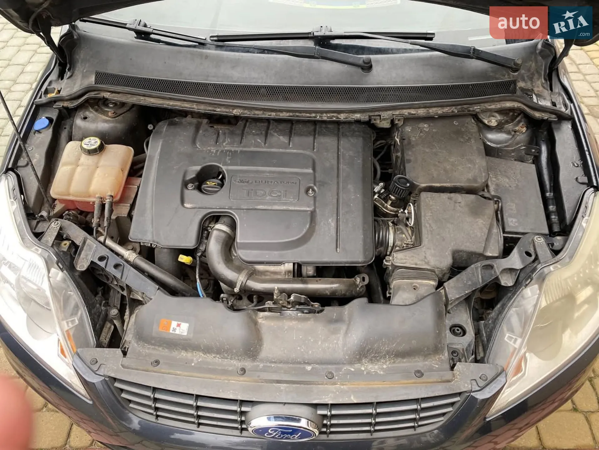 2010 Ford Focus - мініатюра 13