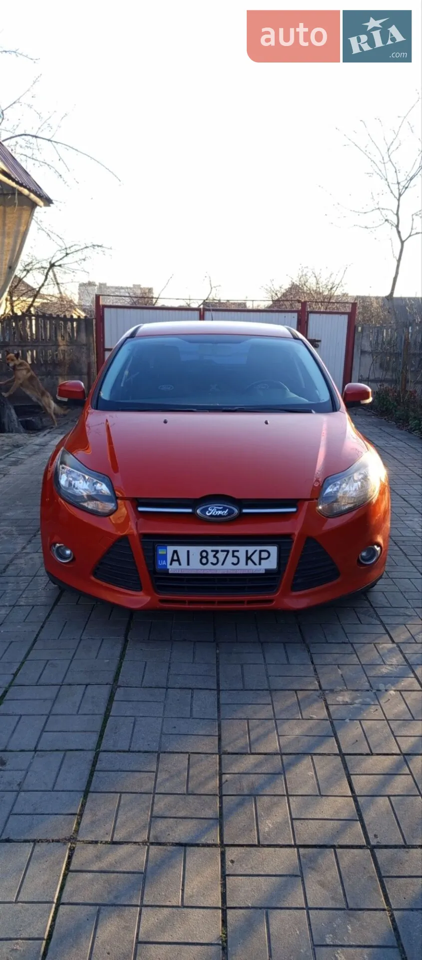 2012 Ford Focus - мініатюра 2